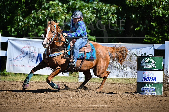 RH6_9820
