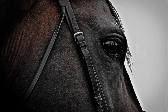 RH2_0014-Edit-Edit