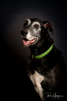 _RH90888