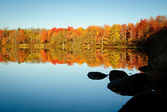 IroquoisMorningShore
