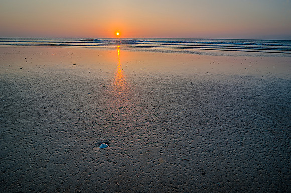 Corolla Morning