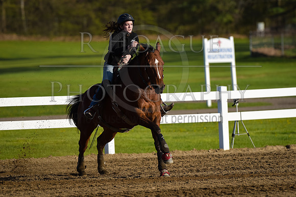 RH7_1018