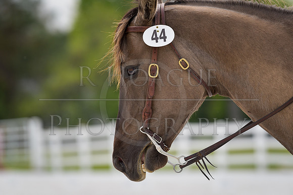 RH7_2019