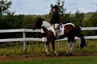 RH3_7940