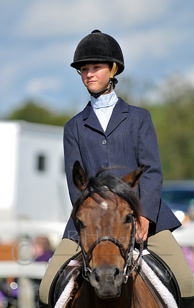 RH3_8878